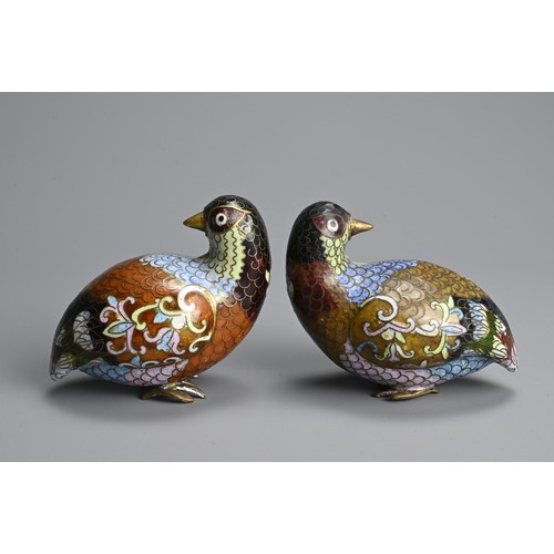 298 - A PAIR OF EARLY 20TH CENTURY CHINESE CLOISONNE ENAMEL MODELS OF QUAILS. Each recumbent, with plumage... 