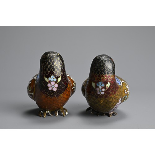 298 - A PAIR OF EARLY 20TH CENTURY CHINESE CLOISONNE ENAMEL MODELS OF QUAILS. Each recumbent, with plumage... 