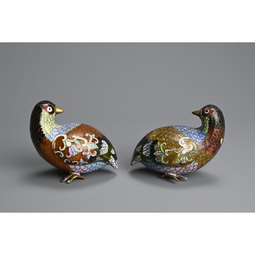 298 - A PAIR OF EARLY 20TH CENTURY CHINESE CLOISONNE ENAMEL MODELS OF QUAILS. Each recumbent, with plumage... 