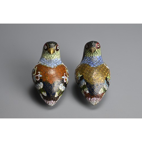 298 - A PAIR OF EARLY 20TH CENTURY CHINESE CLOISONNE ENAMEL MODELS OF QUAILS. Each recumbent, with plumage... 