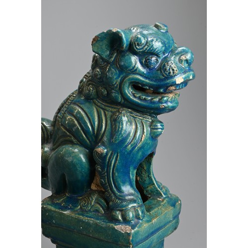 330 - A LARGE CHINESE TURQUOISE GLAZED STONEWARE GUARDIAN LION, MING / QING DYNASTY. The lion seated on a ... 