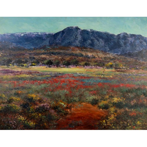 285 - Peter Jander (South African, b.1954) - 'West Coast Flowers - Cape, SA', oil on Masonite, signed lowe... 