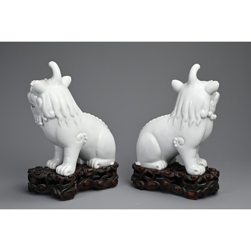 84 - A PAIR OF CHINESE BLANC DE CHINE PORCELAIN MODELS OF QILIN, 19/20TH CENTURY. A mirrored pair seated ... 