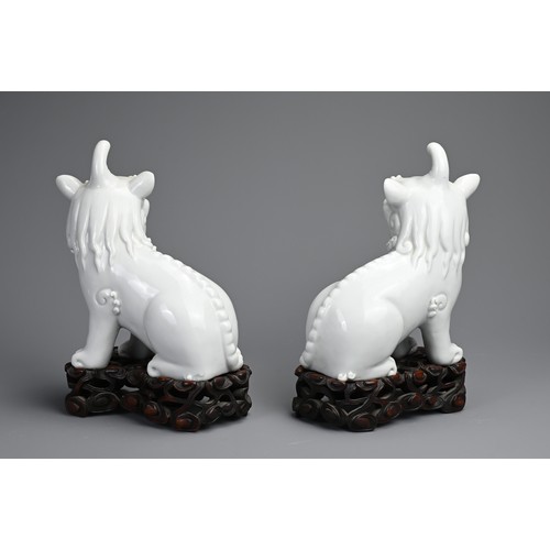 84 - A PAIR OF CHINESE BLANC DE CHINE PORCELAIN MODELS OF QILIN, 19/20TH CENTURY. A mirrored pair seated ... 