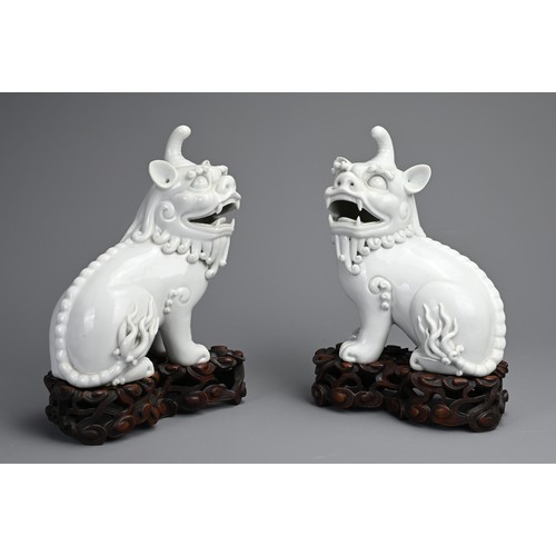 84 - A PAIR OF CHINESE BLANC DE CHINE PORCELAIN MODELS OF QILIN, 19/20TH CENTURY. A mirrored pair seated ... 