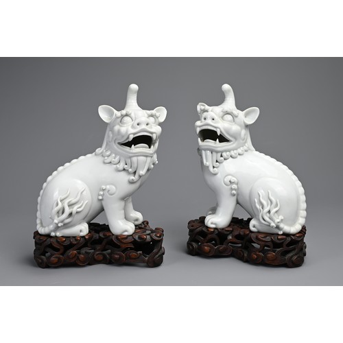 84 - A PAIR OF CHINESE BLANC DE CHINE PORCELAIN MODELS OF QILIN, 19/20TH CENTURY. A mirrored pair seated ... 