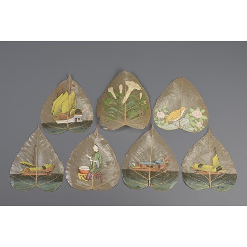 109 - CHINESE SCHOOL, BODHI TREE LEAF PAINTINGS, 19/20TH CENTURY. Gouache on Peepal leaves of botanical st... 