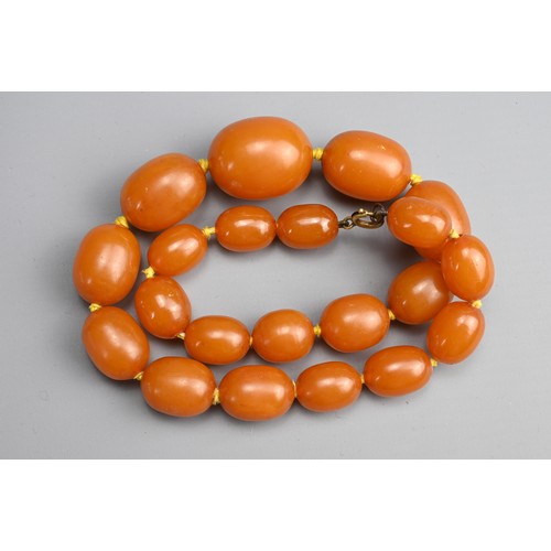 34 - A BUTTERSCOTCH AMBER SINGLE STRAND GRADUATED BEADED NECKLACE. With twenty-one graduating beads, stru... 