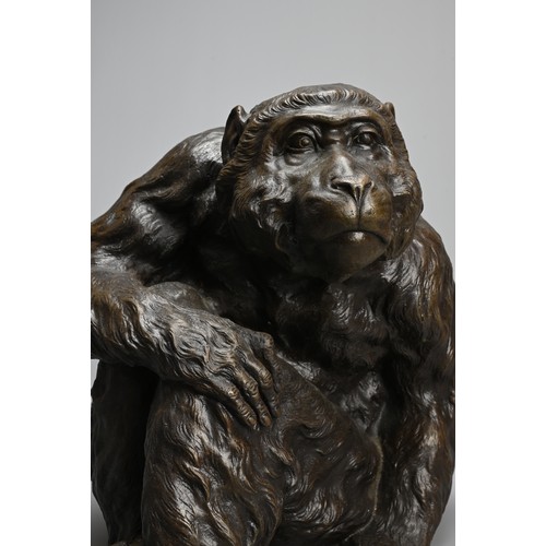 306 - A JAPANESE BRONZE OKIMONO OF A MONKEY, 20TH CENTURY, Well modelled and cast. Unsigned. 30cm wide x 2... 