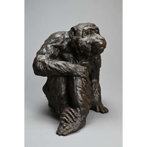 306 - A JAPANESE BRONZE OKIMONO OF A MONKEY, 20TH CENTURY, Well modelled and cast. Unsigned. 30cm wide x 2... 