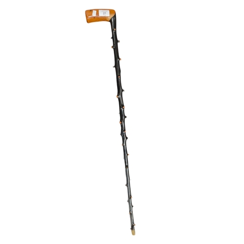 27 - BLACKTHORN WALKING STICK