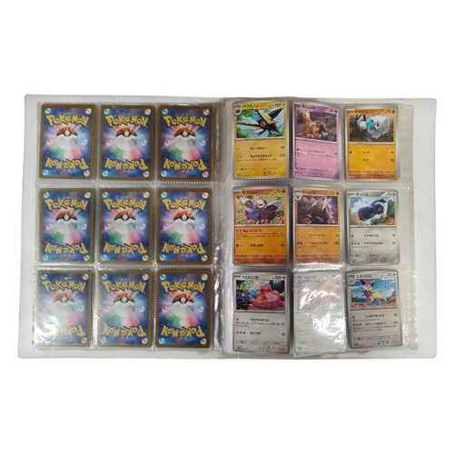 Lot 56        