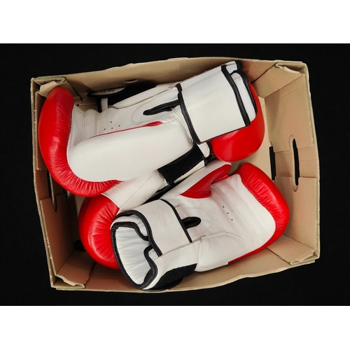 20 - BOXING GLOVES