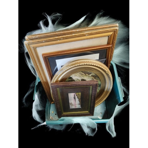 Lot 29        
