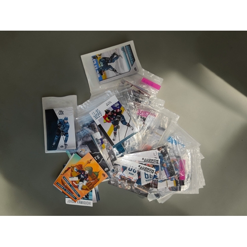 Lot 20        