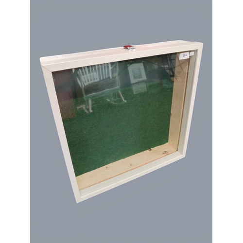 254 - DISPLAY CASE