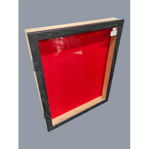 257 - DISPLAY CASE