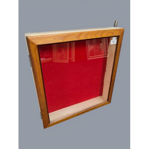261 - DISPLAY CASE