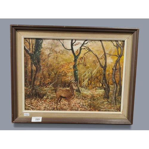 289 - FRAMED OIL ON BOARD SIGNED DREW MONTGOMERY