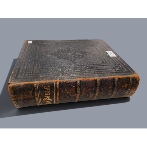 Lot 50        