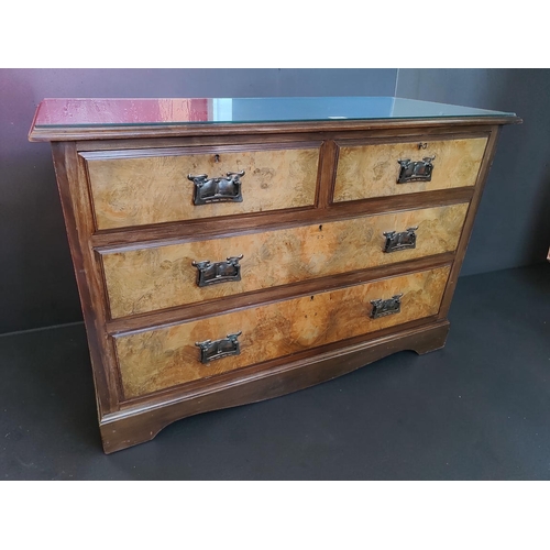 Lot 12        