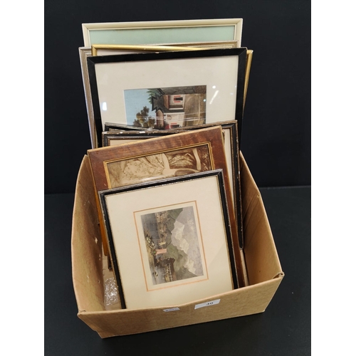 Lot 40        