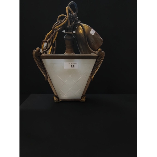 Lot 55        