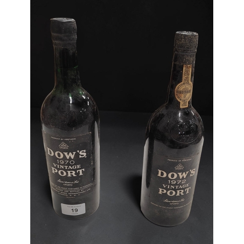 Lot 19        