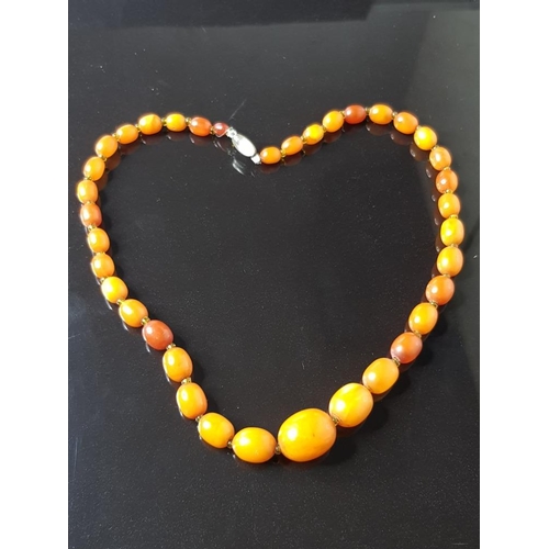 49 - CZECHOSLOVAKIAN AMBER NECKLACE