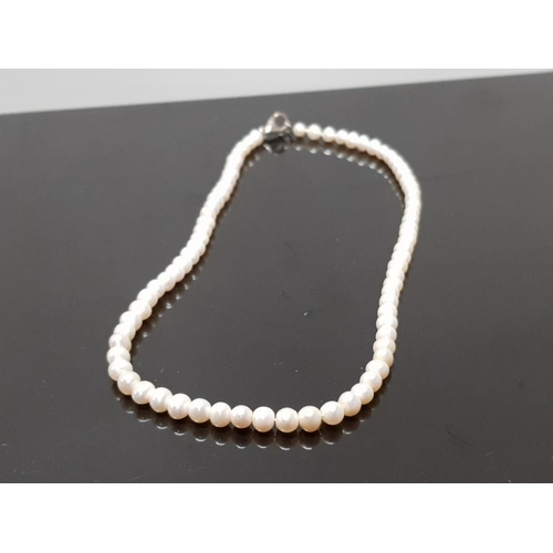 76 - FRESHWATER PEARL NECKLET ON SILVER CATCH