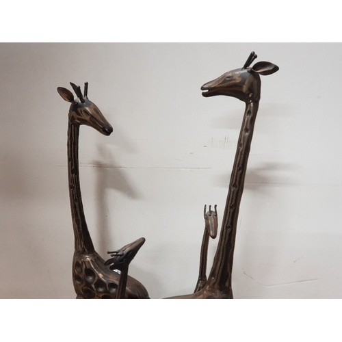 103 - A LARGE STEEL FIGURE OF A FAMILY OF FOUR GIRAFFES 55CM TALL