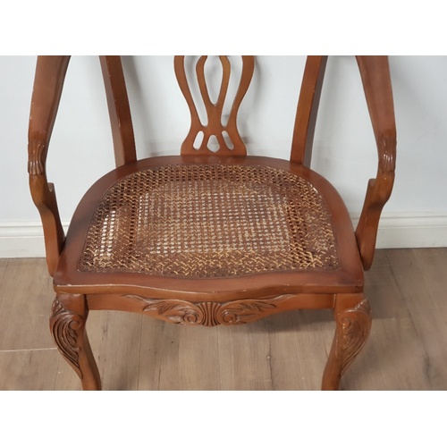 189 - A HEAVILY CARVED BERGERE SEATED TUB CHAIR ON CLAW AND BALL FEET