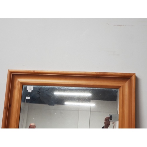 192 - A VERY LARGE PINE FRAMED MIRROR 74CM BY 166CM