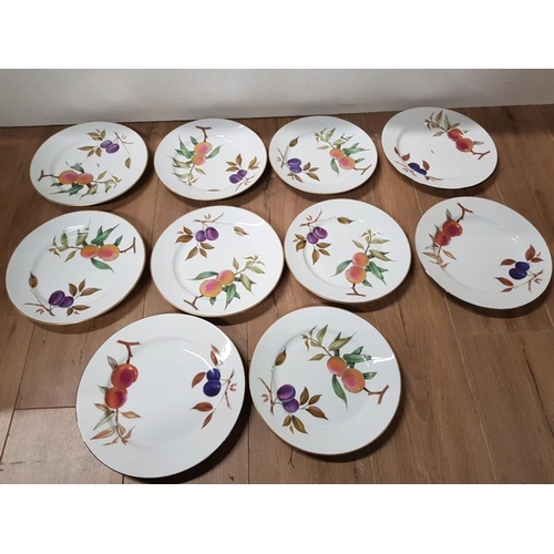 364 - 10 ROYAL WORCESTER EVESHAM PLATES 7 X 10INCH AND 3 X 10 1/2 INCHES