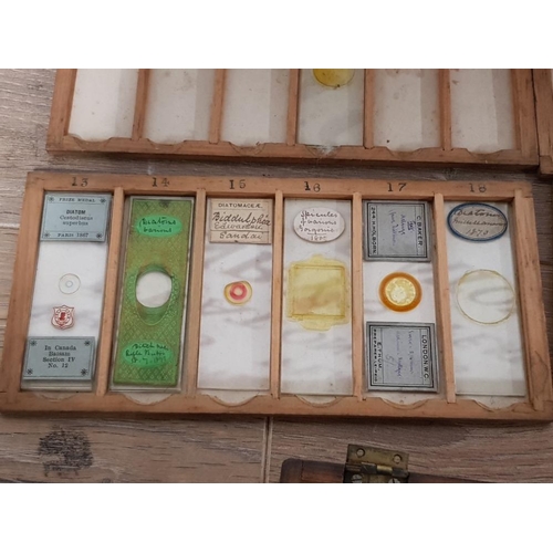 388 - A COLLECTION OF VICTORIAN MICROSCOPE SLIDES TO INCLUDE BALSAM MOULD FROM STALE BREAD ETC