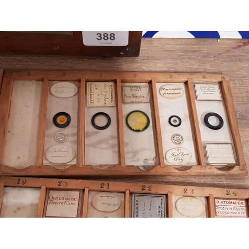 388 - A COLLECTION OF VICTORIAN MICROSCOPE SLIDES TO INCLUDE BALSAM MOULD FROM STALE BREAD ETC