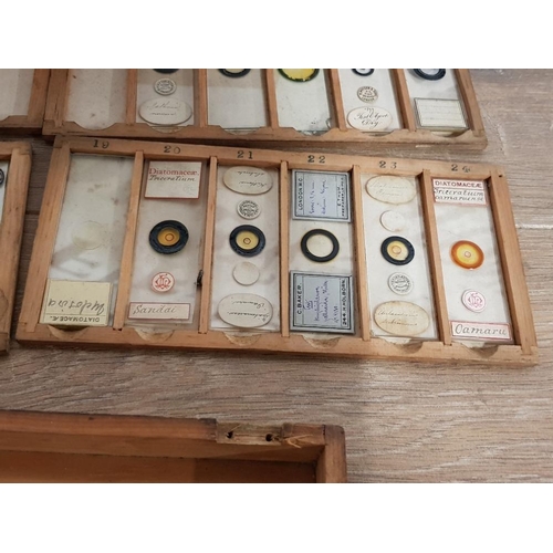 388 - A COLLECTION OF VICTORIAN MICROSCOPE SLIDES TO INCLUDE BALSAM MOULD FROM STALE BREAD ETC