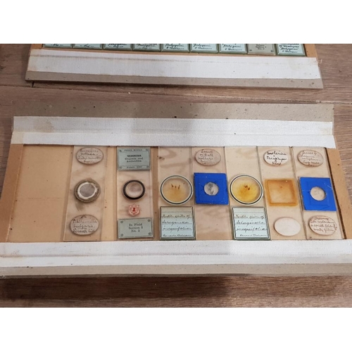 389 - A COLLECTION OF VICTORIAN MICROSCOPE SLIDES TO INCLUDE MAYFLY WING ALGAE ETC