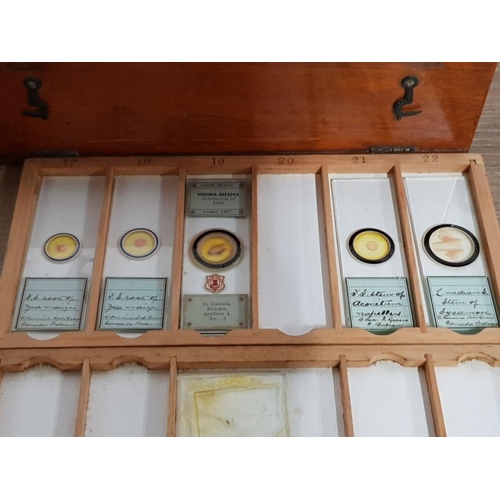 390 - A COLLECTION OF VICTORIAN MICROSCOPE SLIDES TO INCLUDE BUTTERWORT VIRGINIA CREEPER MAIZE ETC