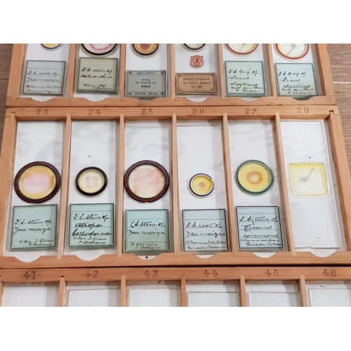 390 - A COLLECTION OF VICTORIAN MICROSCOPE SLIDES TO INCLUDE BUTTERWORT VIRGINIA CREEPER MAIZE ETC