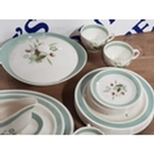 441 - 30 PIECES OF CLOVELLY WOODS DINNER SERVICE