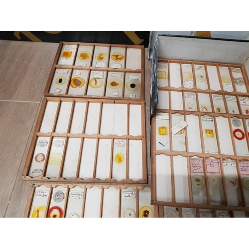 434 - A COLLECTION OF VICTORIAN MICROSCOPE PATHOLOGICAL SLIDES TO INCLUDE ORGANS TONGUE OF CAT FAT OF RABB... 