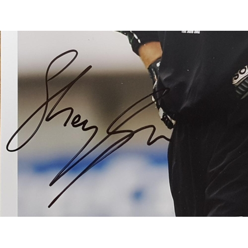 104 - 8 DIFFERENT SIGNED NEWCASTLE UNITED 8X12 INCH PHOTOGRAPHS OF GARY SPEED, SHAY GIVEN, LUA LUA, NIKOR ... 