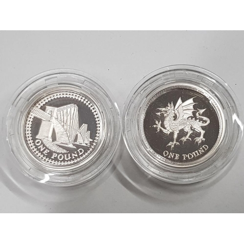 66 - TWO 1 POUND COINS INCLUDES 925 SILVER PROOF 1995 WELSH COIN MINTAGE 40,000 AND 925 SILVER PROOF 2004... 