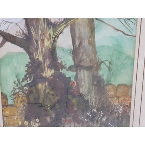 227 - A PAIR OF FRAMED WATERCOLOUR PAINTINGS BOTH OF WOODLAND SCENES BY GRANGE HILL STAR TONY HODGE