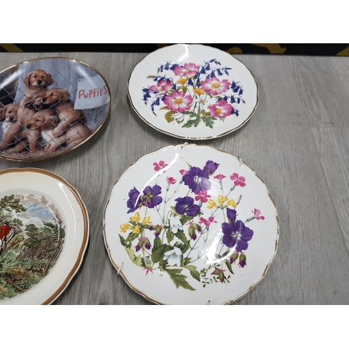 173 - COLLECTION OF COLLECTORS PLATES INCLUDES LIMITED EDITION ROYAL ALBERT WOODLAND ROSES AND MEADOW PINK... 