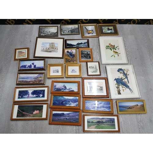 184 - COLLECTION OF FRAMED PRINTS MAINLY OF LOCAL INTEREST AND BIRDS FROM THE NATIONAL GALLERY OF ART WASH... 