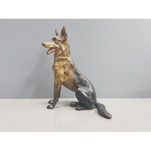 215 - A BRONZE COLD PAINTED FIGURE OF A GERMAN SHEPHERD