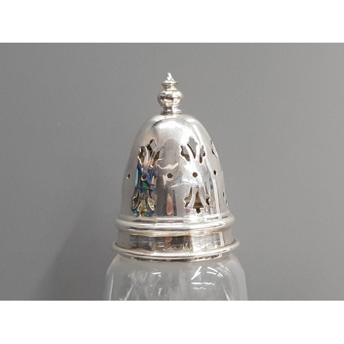 6 - HALLMARKED BIRMINGHAM 1983 SILVER COLLAR AND TOPPED SUGAR SIFTER BY BISHTONS LTD