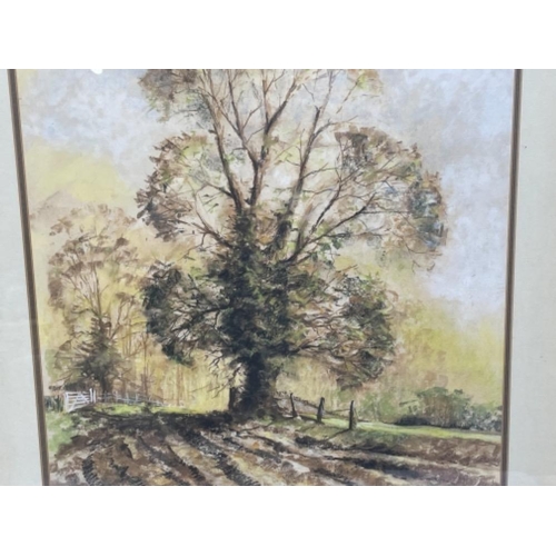 212 - GORDON LEES 1933- PASTELS FARMLAND LANDSCAPE LONELY TREE 55CMS X 41CMS SIGNED BOTTOM RIGHT